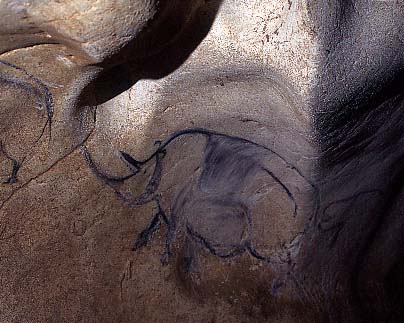 Photographie d'un dessin rupestre montrant un rhinocros