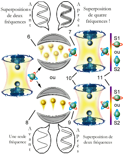 La décohérence partie II