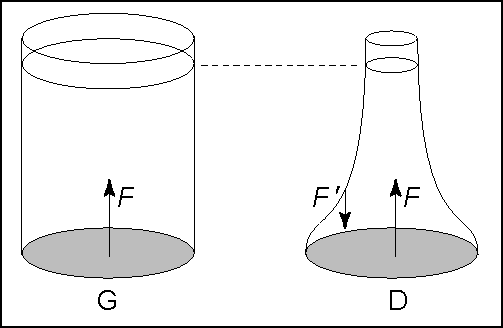 Sch�ma explicatif des forces sur les r�cipients
